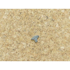 Cran de mire Colt 45