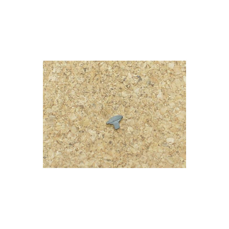 Cran de mire Colt 45