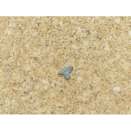 Cran de mire Colt 45