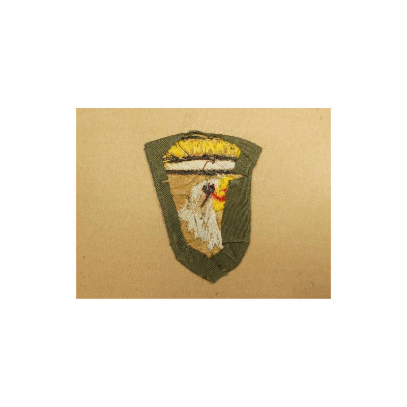 Patch 101 st Airborne Vietnam Camranhbay