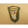 Patch 101 st Airborne Vietnam Camranhbay