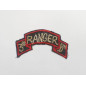 Tab 3rd Ranger Bn  Vietnam