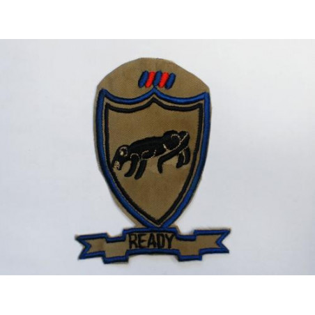 Patch 505th Airborne Rgt READY