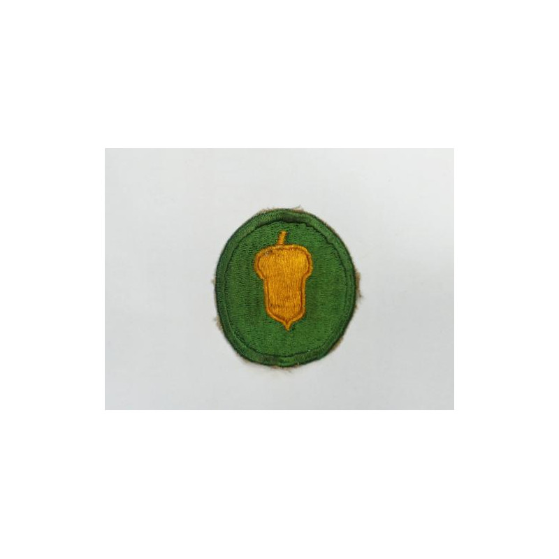 Patch 87 th Division