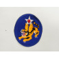 Patch US Air Force 14 th Air force