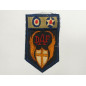Patch US Air Force DESERT AIR FORCE