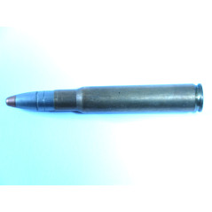 8 x 60 S RWS balle expansive 