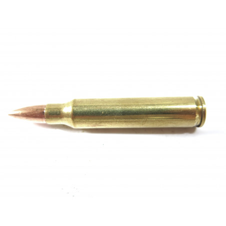 5.56 Remington REMFC 17 