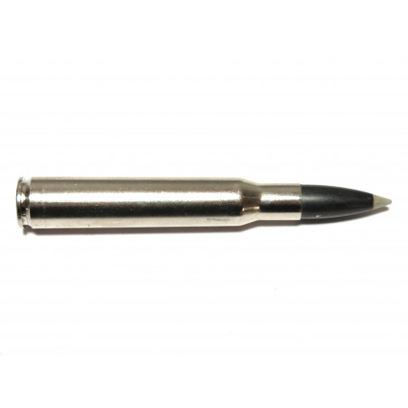 Cartouche calibre 30.06 Ballistic silvertip Winchester 