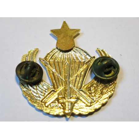 Brevet parachutiste US speciales forces  Ref bo12