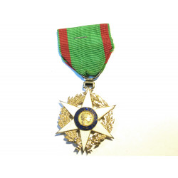 Medaille ordre merite...