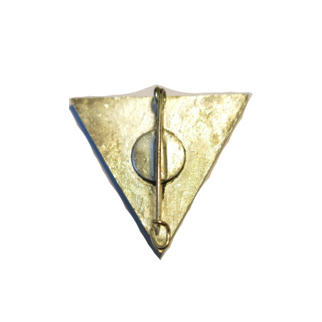 Insigne LEGION 2 BEP 2 bataillon Etranger para ref  27 a