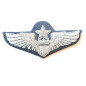 Insigne US pilote senior brodé canetille ref bo 11 