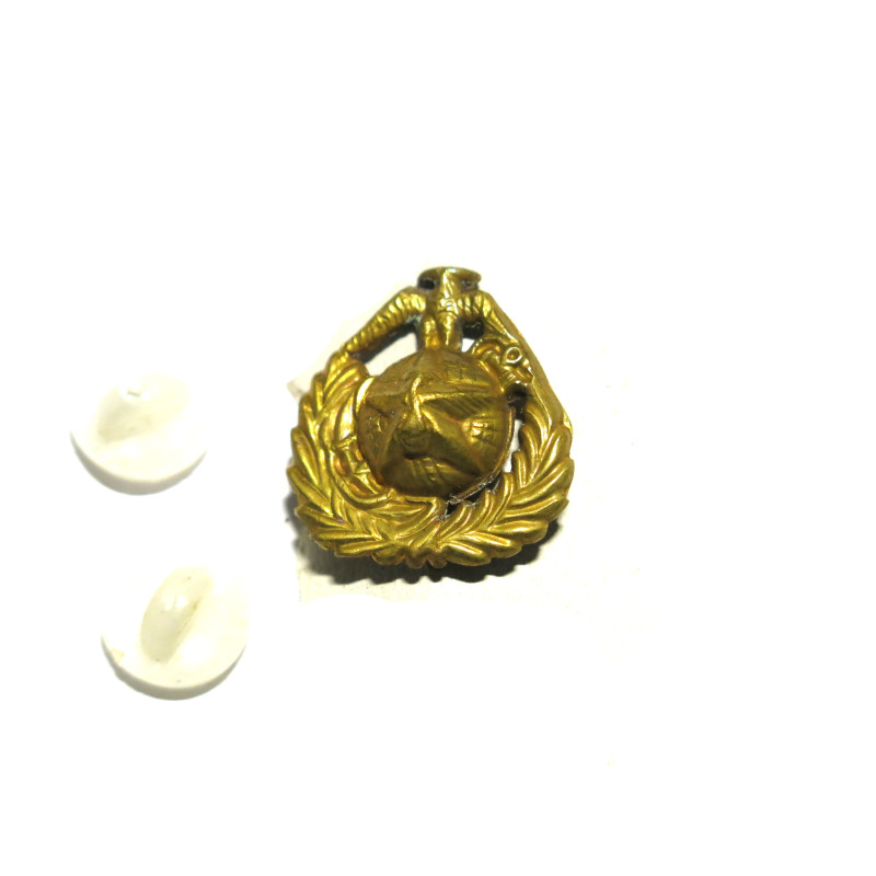 Insigne métal de col marine corps ARVN Vietnam ref ma45