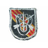 Insigne tissu de beret 5th Special forces Airborne Insigne 