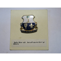 Insigne 163 rd infantry Bn...