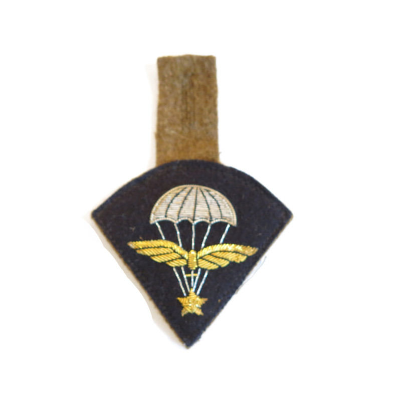 Brevet para Francais infanterie de l'air brodé canetille ref bo fr