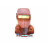 belle maquette en bois TRACTION avant 