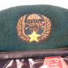 Beret Tiger ARVN US Vietnam insigne canetille ref be70