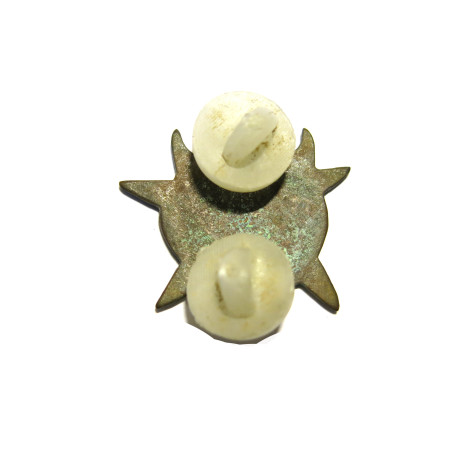 Insigne metal TIGER ARVN  