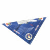 Foulard US F14 TOMCAT