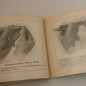 Livre d'instruction pistolet  Sauer et Sohn 6.35 ou 7.65 et16