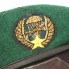 Beret vert TIGER speciales forces ARVN US Vietnam insigne canetille ref vn 50