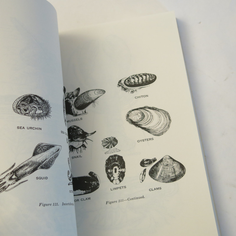 Livre Survival US army 1970  FM 21-76 