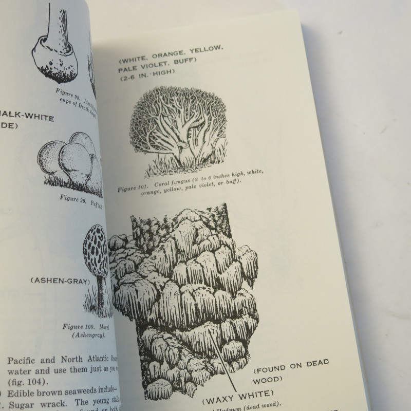 Livre Survival US army 1970  FM 21-76 