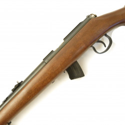 Carabine JW 15 A fabrication Norinco calibre 22 long rifle 