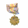 Medaille des blessés emaillée Indo ref bo 12 un