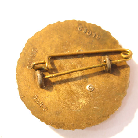 Insigne 50 regiment de transmission Drago G 3019 ref bo 5