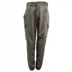 Pantalon F2 de l'armée...