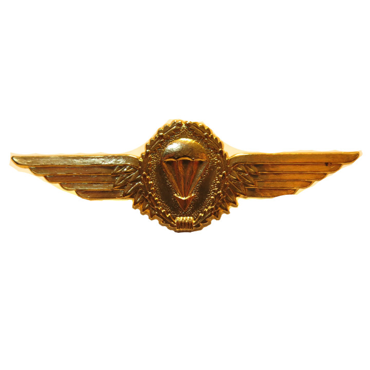 Brevet métal parachutiste Bundeswehr argent