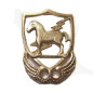Insigne métal de beret US Vietnam 10 th Special forces 