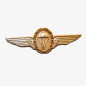 Brevet parachutiste Bundeswehr argent