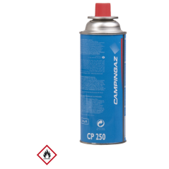 Cartouche de gaz butane 250g 