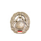 Insigne de casquette Bundeswehr Topographe  ref bo 115 bis