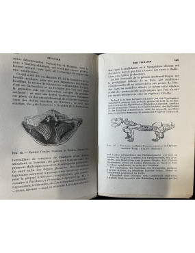 Livre introduction à la géologie de J. Leuba