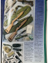 Catalogue Europsurpl.U.S.No 2