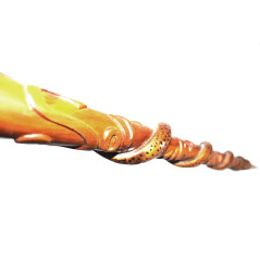 Canne de poilu tête de poilu