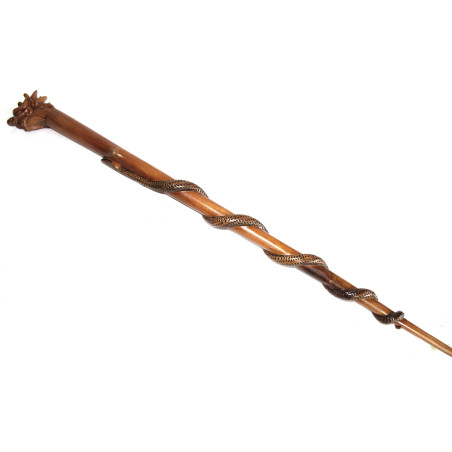 Canne de Poilu Tête de Dragon