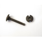 Vis de plaquettes  bois  pour FM CHAUCHAT