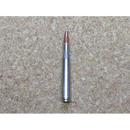 300 Holland & Holland Magnum