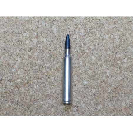 300 Winchester magnum black talon