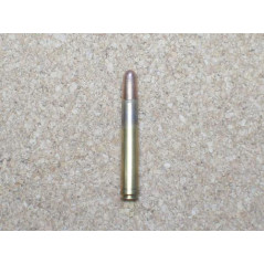 458 Winchester magnum