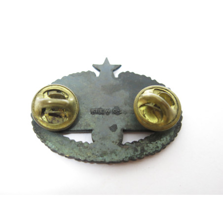 Insigne  infirmier US  ref 100