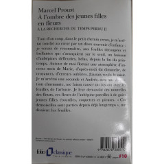 Roman A l'ombre des jeunes filles en fleurs de Proust