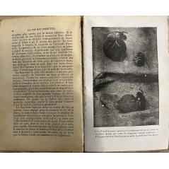 Livre La vie des insectes de J-H- Fabre