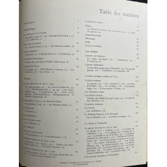 Livre L'uniforme et les armes des soldats de la Guerre 1939 - 1945 - Tome 2